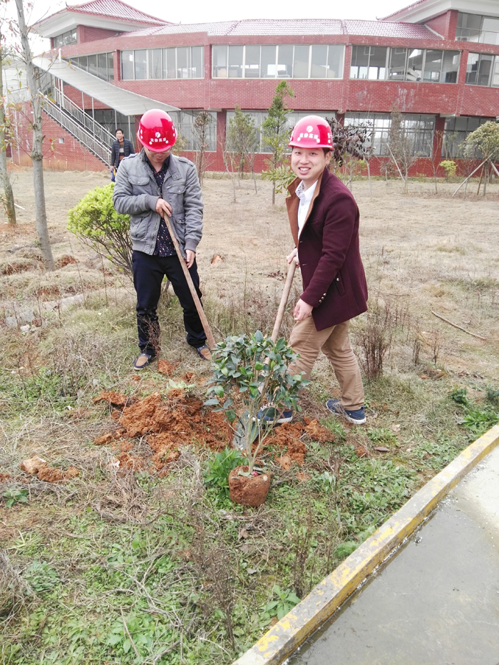 種一棵小樹，綠一方凈土