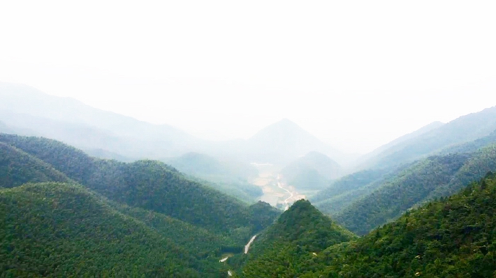 心懷赤誠，譜寫光輝業(yè)績(jī)